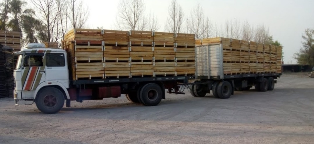 Camion de transporte de bines reforzados